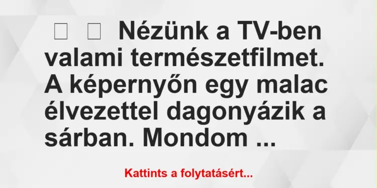 Vicc:
Nézünk a TV-ben valami természetfilmet. A képernyőn egy…