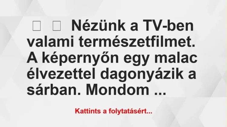 Vicc: 
	    	    Nézünk a TV-ben valami természetfilmet. A képernyőn egy…