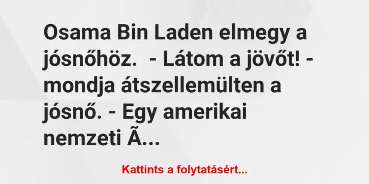 Vicc: Osama Bin Laden elmegy a jósnőhöz.– Látom a jövőt! – mondja…