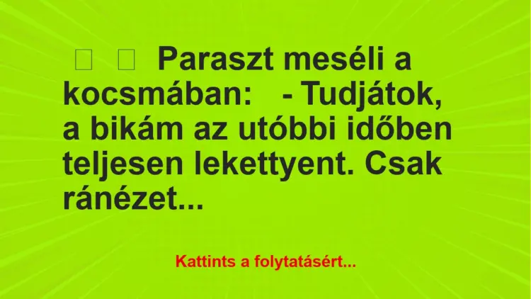 Vicc:
Paraszt meséli a kocsmában:– Tudjátok, a bikám az…