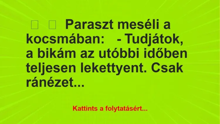 Vicc: 
	    	    Paraszt meséli a kocsmában:


– Tudjátok, a bikám az…