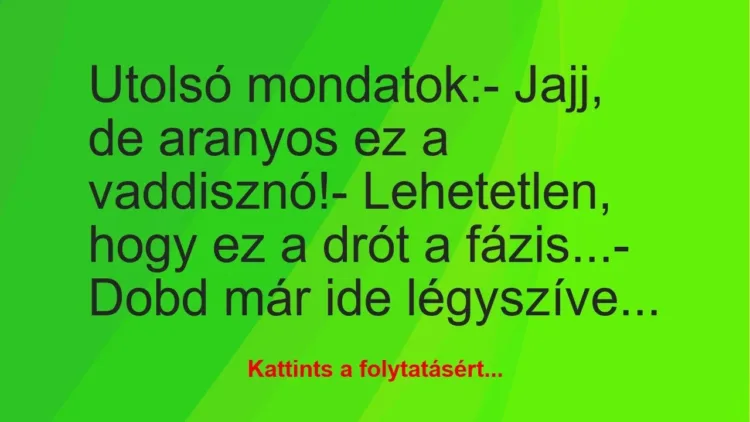 Vicc: Utolsó mondatok:

– Jajj, de aranyos ez a vaddisznó!

-…