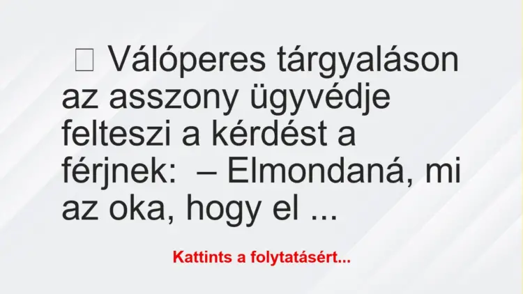 Vicc: Válóperes tárgyaláson az asszony ügyvédje