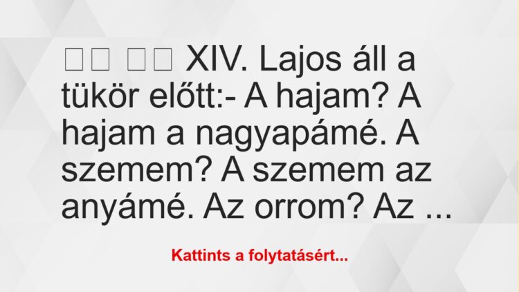 Vicc:
XIV. Lajos áll a tükör előtt:- A hajam? A…