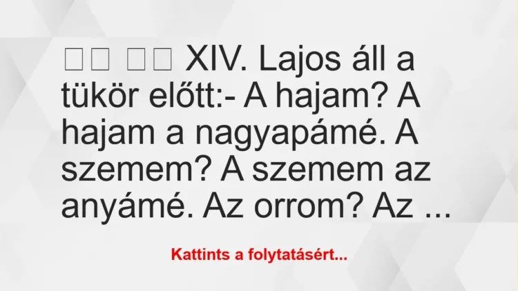 Vicc: 
		  
		  XIV. Lajos áll a tükör előtt:- A hajam? A…