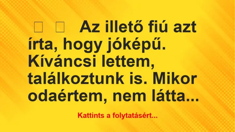 Vicces történet:Az illető fiú azt írta, hogy jóképű….