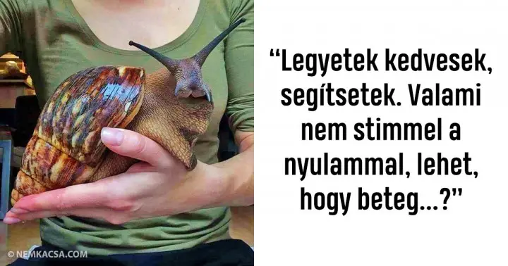 Ennek a 20 embernek a humorérzéke szinte felér egy szíven döféssel…