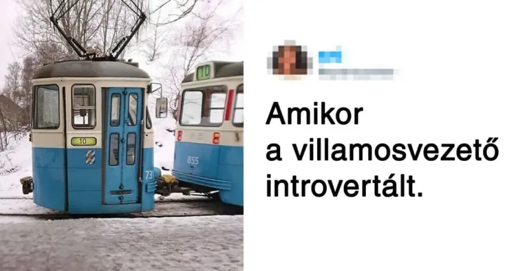 20 kép, amely csak a trollok megjegyzései miatt vált túlontúl viccessé