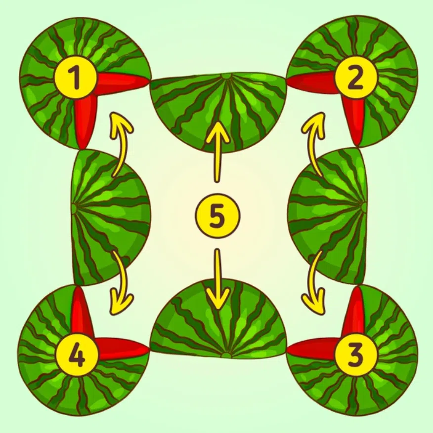 Jól működik az agyad, ha meg tudod mondani, hány dinnyét látsz a képen