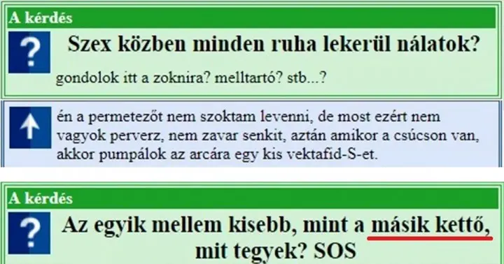 15 hihetetlenül szórakoztató kérdés, amit valóban felvettek…