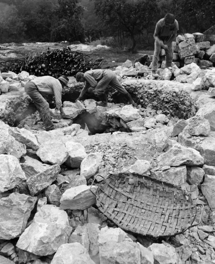 Bátor község termelőszövetkezetének mészégetői készítik a boksát, 1973.
MTI