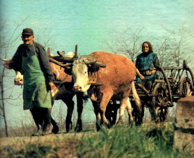 Falusi életkép, 1970-es évek.
Képes Újság