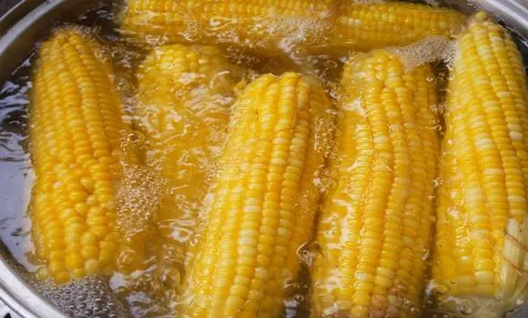 Ne ess ebbe a hibába! Íme a titkos recept a tökéletesen főtt kukoricáért!