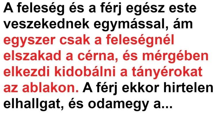 Vicc: A férj félreértette a felesége tányérdobálását