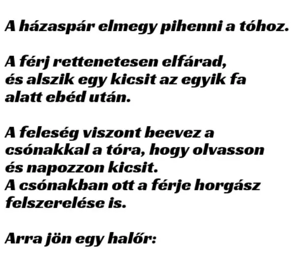 Vicc: A házaspár elmegy pihenni a tóhoz