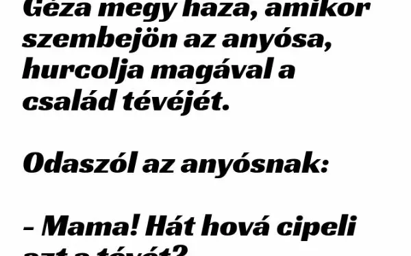 Vicc: Géza megy haza, amikor szembejön az anyósa, hurcolja magával a…