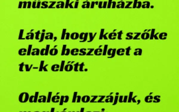 Vicc: Srác bemegy a műszaki áruházba. Látja, hogy két szőke eladó…