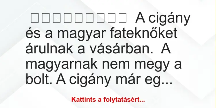 A cigány és a magyar fateknőket árulnak a vásárban