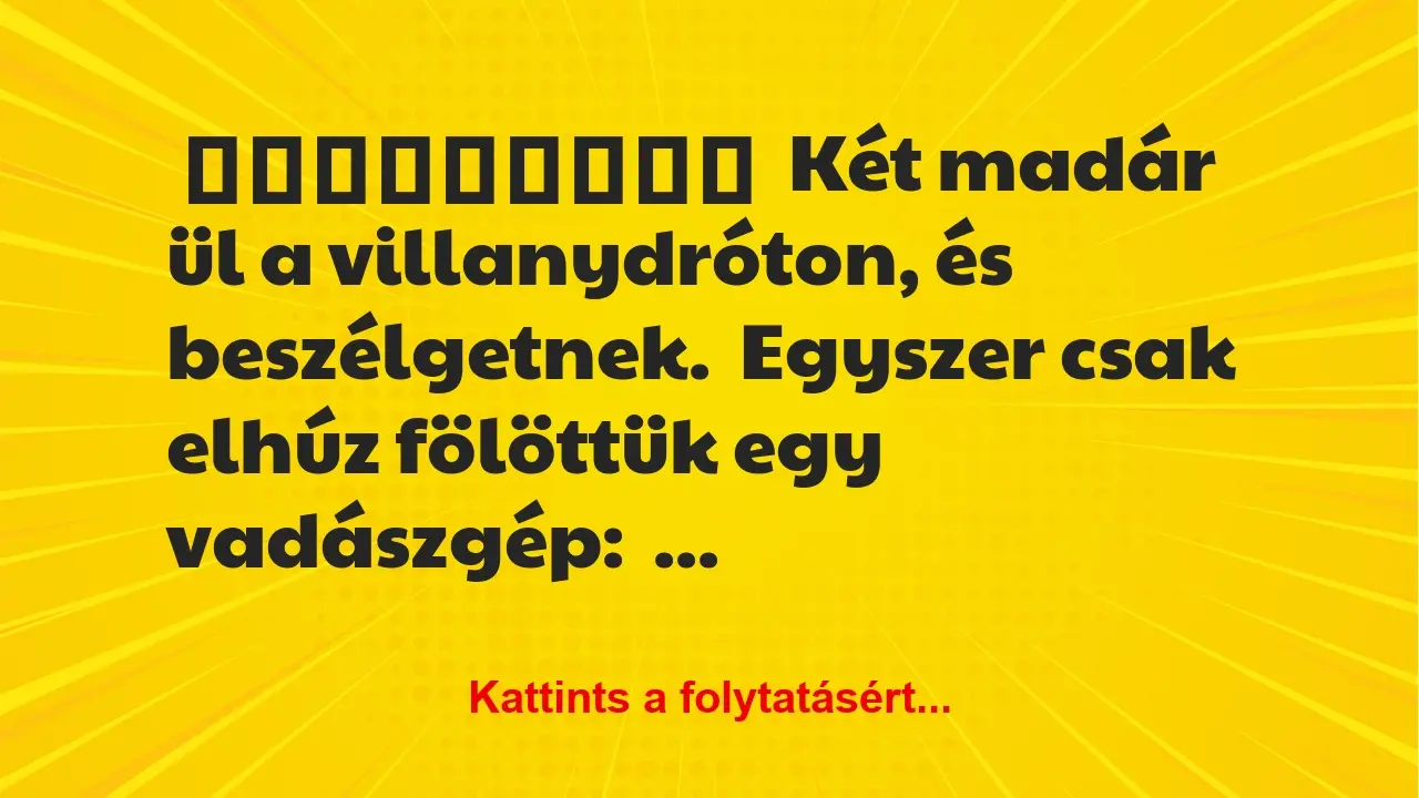 Két madár ül a villanydróton, és beszélgetnek