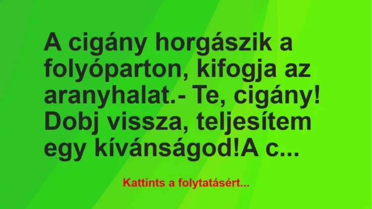 Vicc: A cigány horgászik a folyóparton, kifogja az aranyhalat.– Te,…