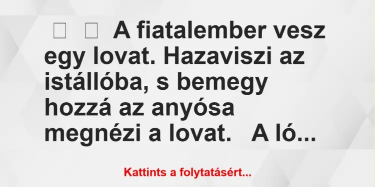 Vicc:
A fiatalember vesz egy lovat. Hazaviszi az istállóba, s…