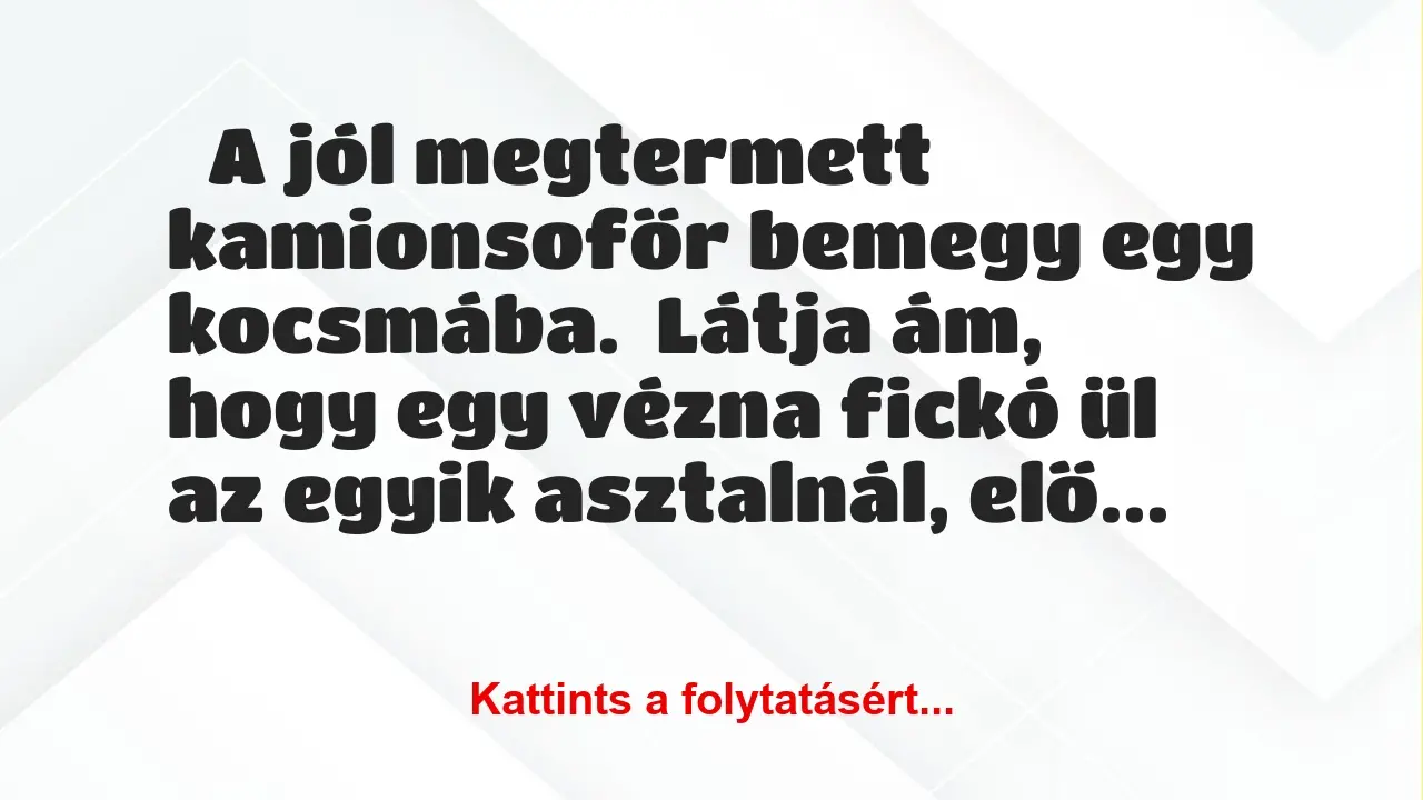 Vicc: A jól megtermett kamionsofőr bemegy egy kocsmába