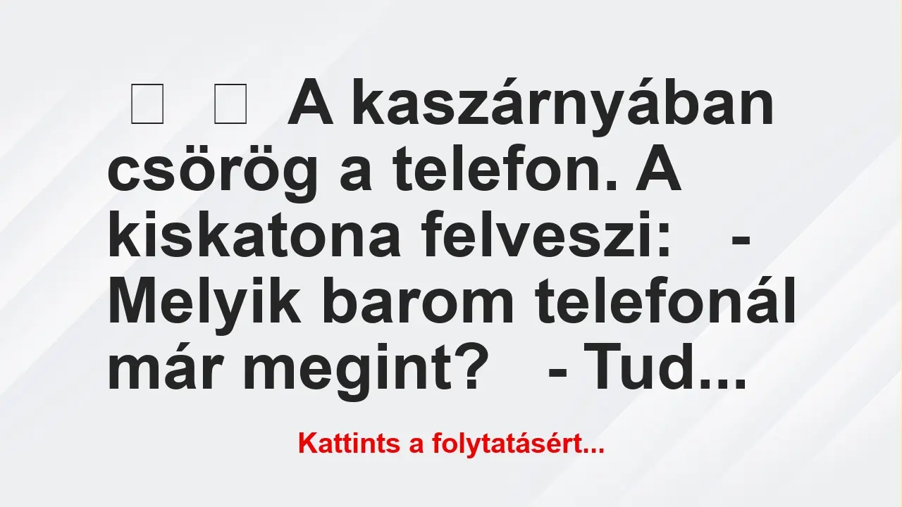 Vicc: 
	    	    A kaszárnyában csörög a telefon. A kiskatona…