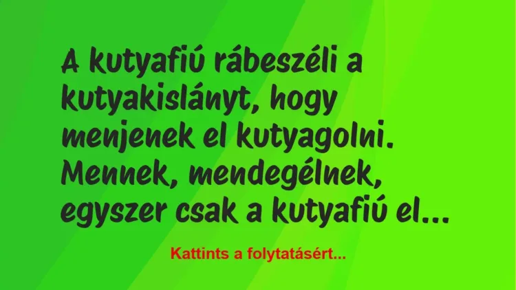 Vicc: A kutyafiú rábeszéli a kutyakislányt, hogy menjenek el kutyagolni….