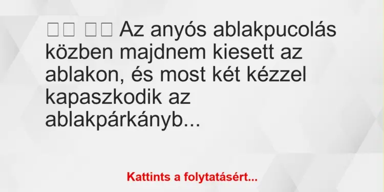 Vicc:
Az anyós ablakpucolás közben majdnem kiesett az…