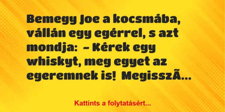 Vicc: Bemegy Joe a kocsmába, vállán egy egérrel, s azt mondja:– Kérek…