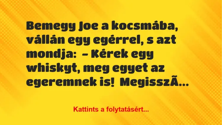 Vicc: Bemegy Joe a kocsmába, vállán egy egérrel, s azt mondja:– Kérek…