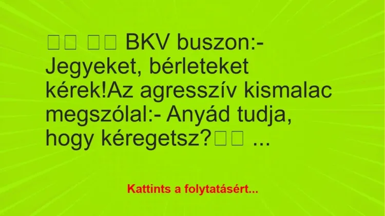 Vicc:
BKV buszon:- Jegyeket, bérleteket…