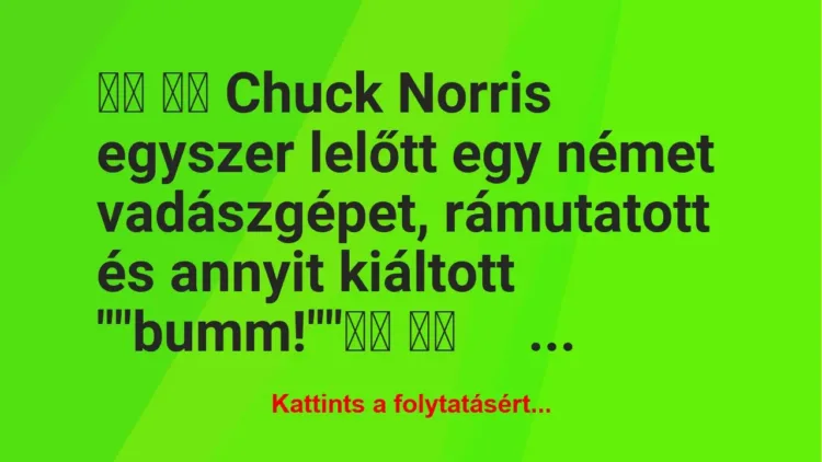 Vicc: 
		  
		  Chuck Norris egyszer lelőtt egy német…