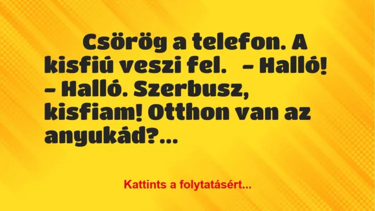 Vicc:
Csörög a telefon. A kisfiú veszi fel.-…