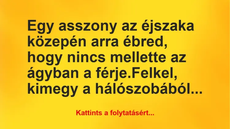 Vicc: Egy asszony az éjszaka közepén arra ébred, hogy nincs mellette az…