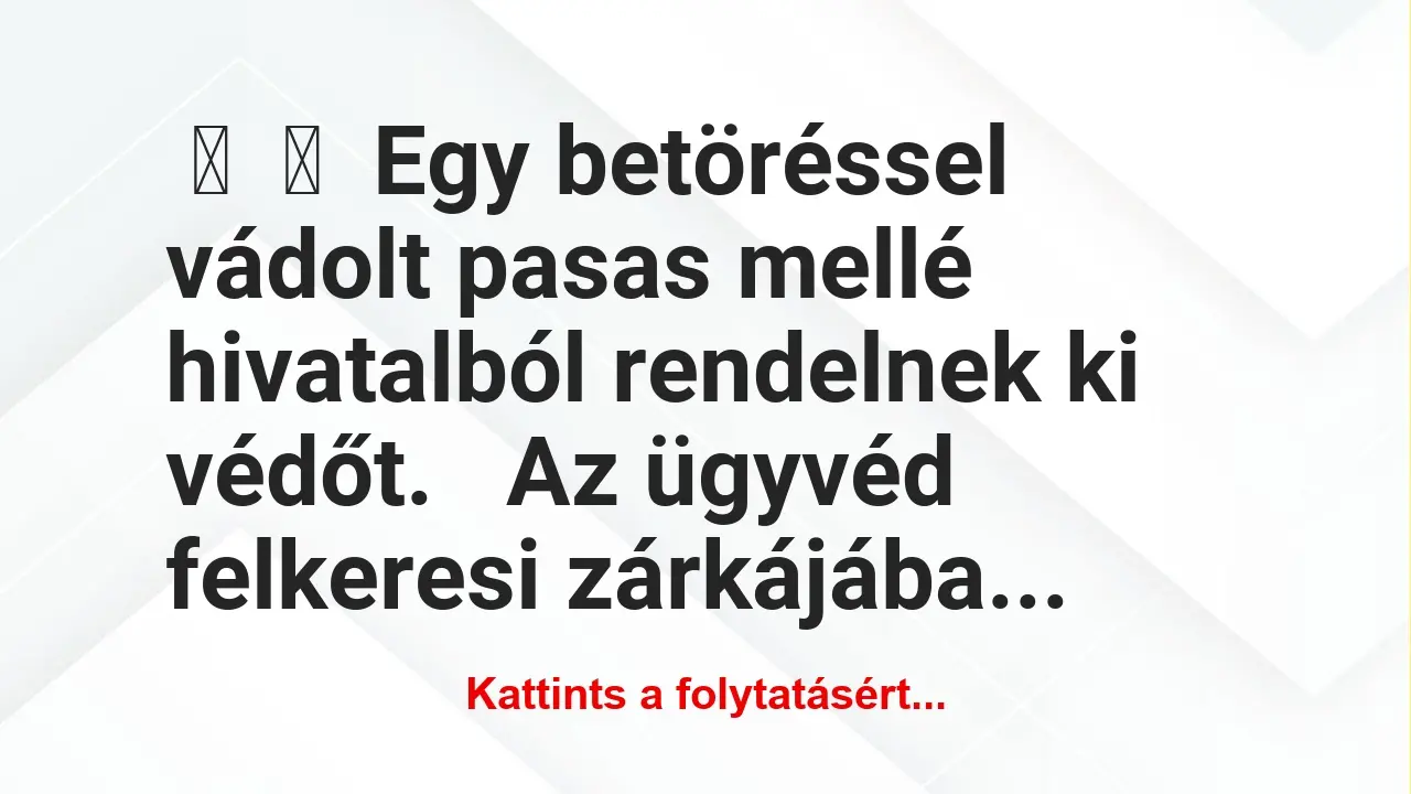 Vicc: 
	    	    Egy betöréssel vádolt pasas mellé hivatalból rendelnek ki…