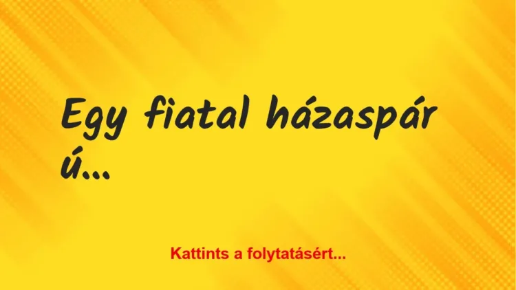 Vicc: Egy fiatal házaspár új lakásba költözik