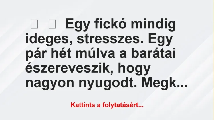 Vicc:
Egy fickó mindig ideges, stresszes. Egy pár hét múlva a…