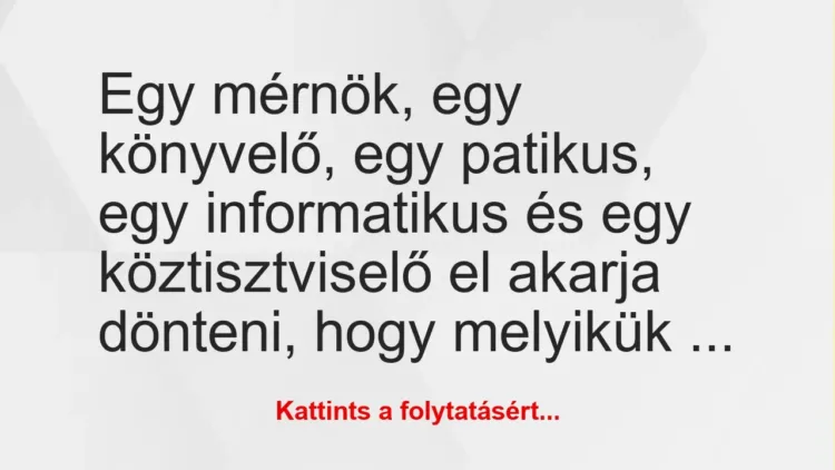 Vicc: Egy mérnök, egy könyvelő, egy patikus, egy informatikus és egy…