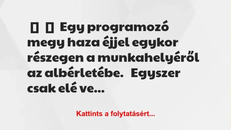 Vicc: 
	    	    Egy programozó megy haza éjjel egykor részegen a…