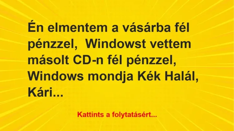 Vicc: Én elmentem a vásárba fél pénzzel,

Windowst vettem másolt CD-n…