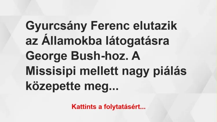 Vicc: Gyurcsány Ferenc elutazik az Államokba látogatásra George Bush-hoz. A…