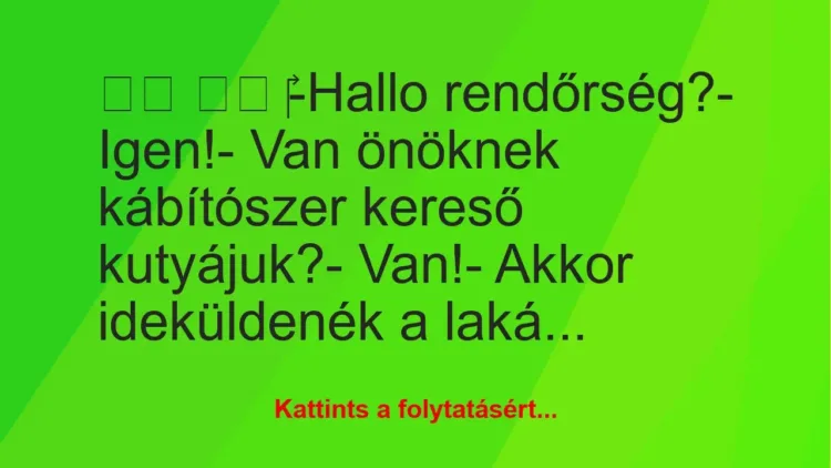 Vicc: 
		  
		  ‎-Hallo rendőrség?- Igen!- Van önöknek…