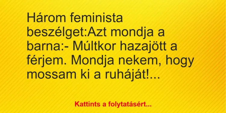 Vicc: Három feminista beszélget:Azt mondja a barna:– Múltkor…