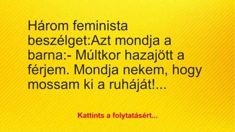 Vicc: Három feminista beszélget:

Azt mondja a barna:

– Múltkor…