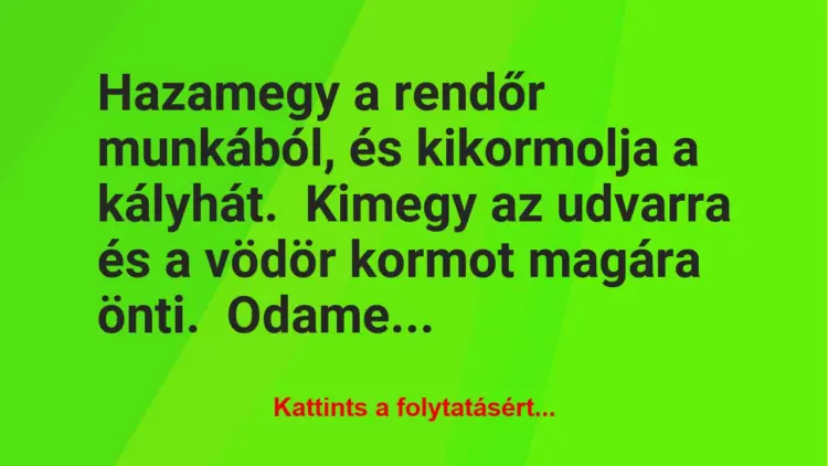 Vicc: Hazamegy a rendőr munkából, és kikormolja a kályhát.Kimegy az…