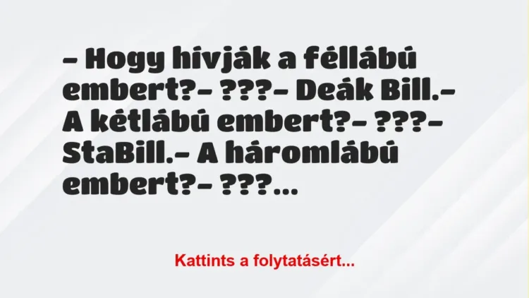 Vicc: – Hogy hívják a féllábú embert?

– ???

– Deák Bill.

– A…