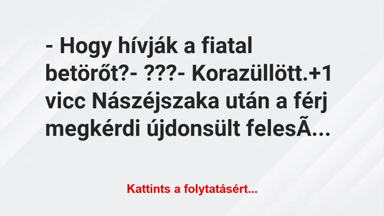 Vicc: – Hogy hívják a fiatal betörőt?

– ???

-…