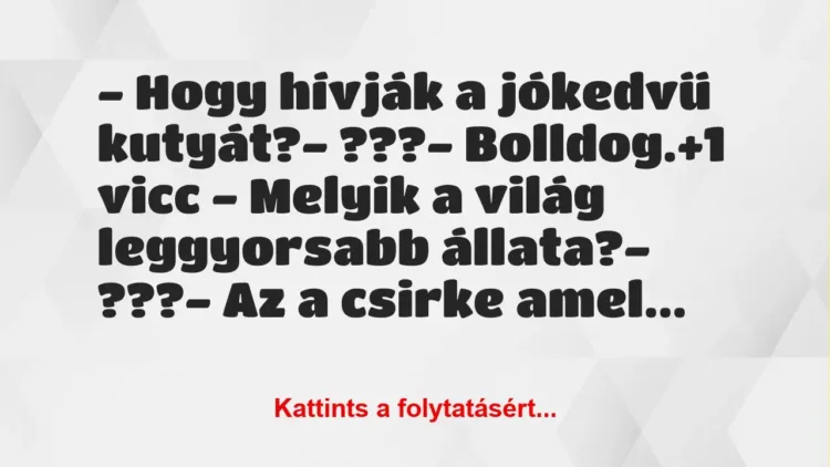 Vicc: – Hogy hívják a jókedvű kutyát?

– ???

– Bolldog.