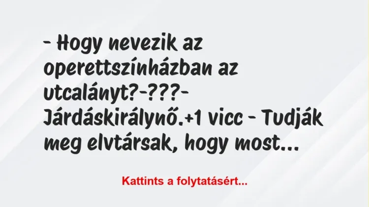 Vicc: – Hogy nevezik az operettszínházban az utcalányt?

-???

-…